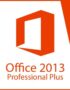 Microsoft Office 2013 Professional Plus bei VivaKeys Software Europe